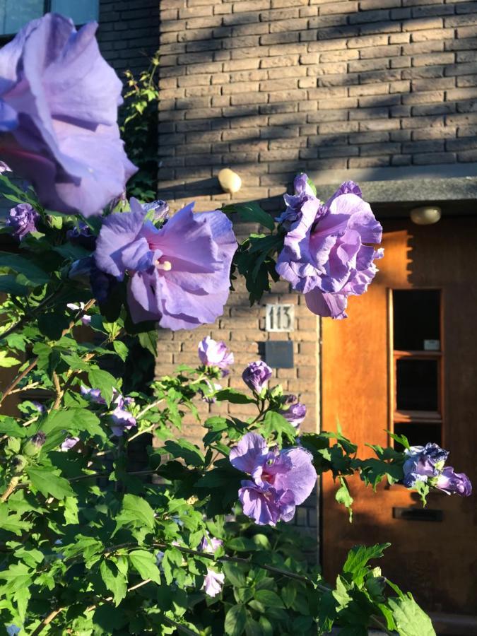 Eikenburg B&B アイントホーフェン エクステリア 写真